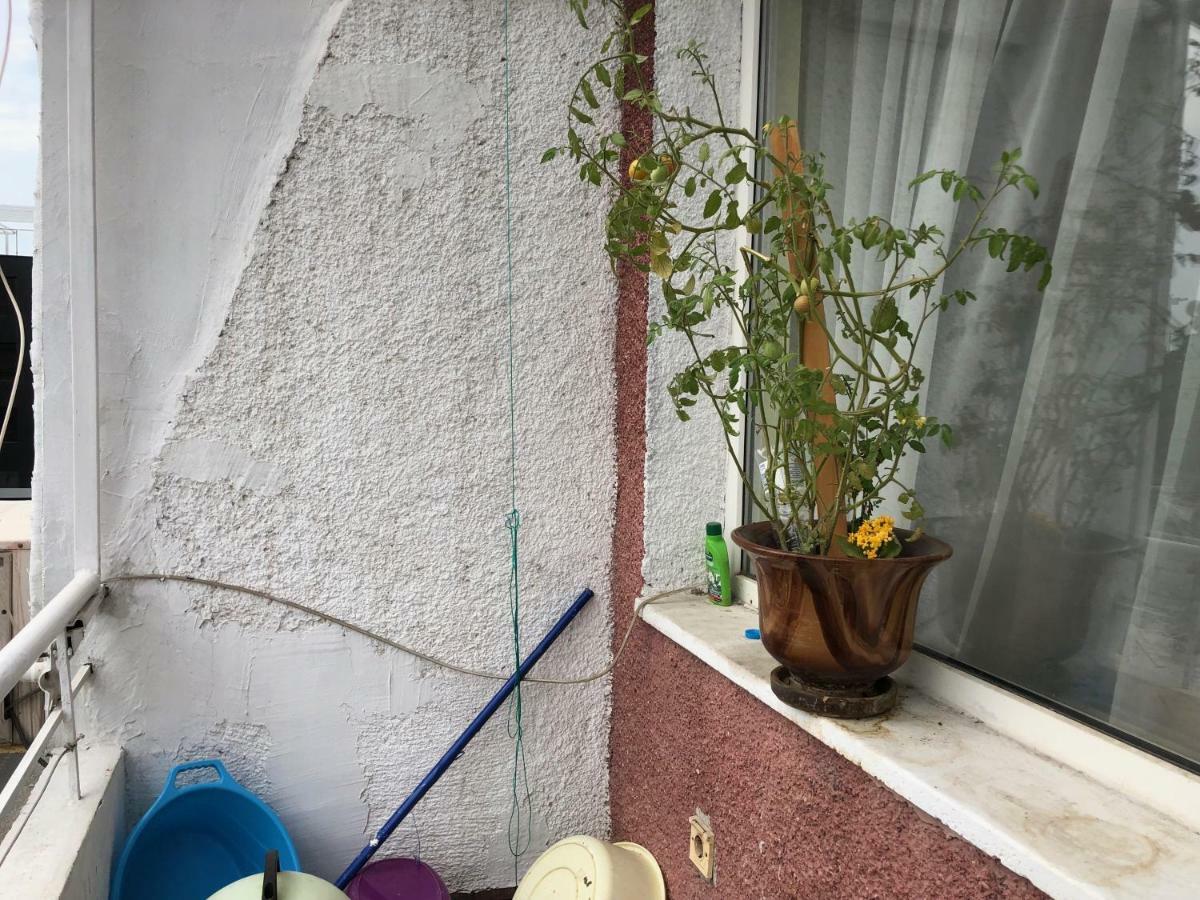 וארנה Jivko'S Studio מראה חיצוני תמונה